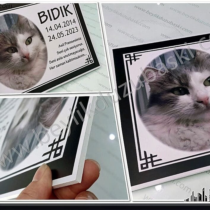 Kedi mezarı için plastik mezar tabelası, evcil hayvan mezar tabelası, 30x40 cm ebadında 5 mm plastik, dış mekan dayanıklı mezar tabela, kedi köpek mezar başlığı