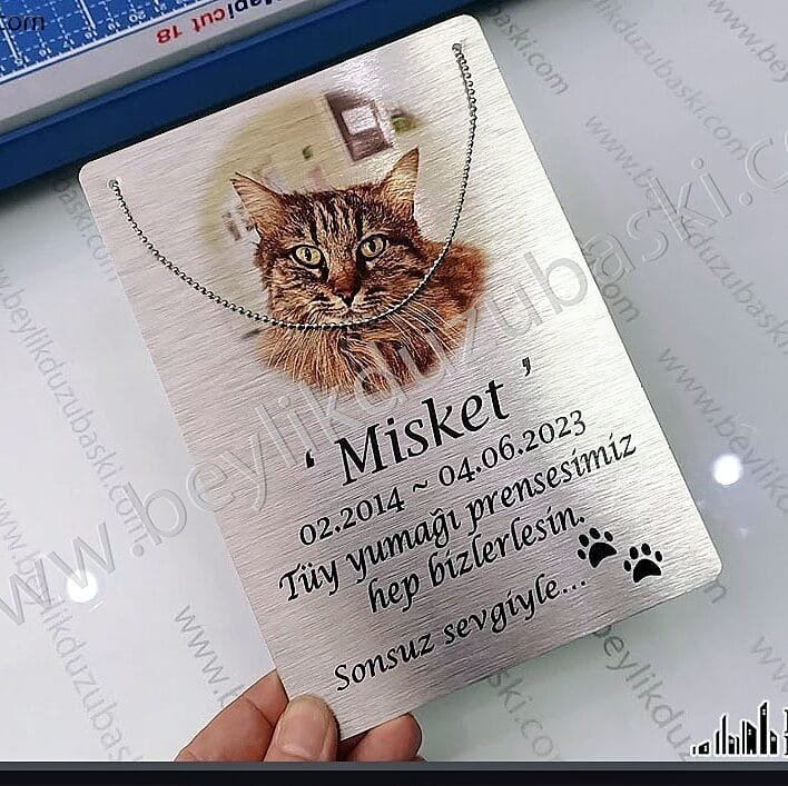 kedi mezar başlığı, ölen kedi için, resim ve tarih baskılı, zincirli tabela, metal hayvan mezarı tabelası, kedi köpek, evcil hayvan mezar isimliği, ağaç üzerine asma yapılabilir, zincirli tabela