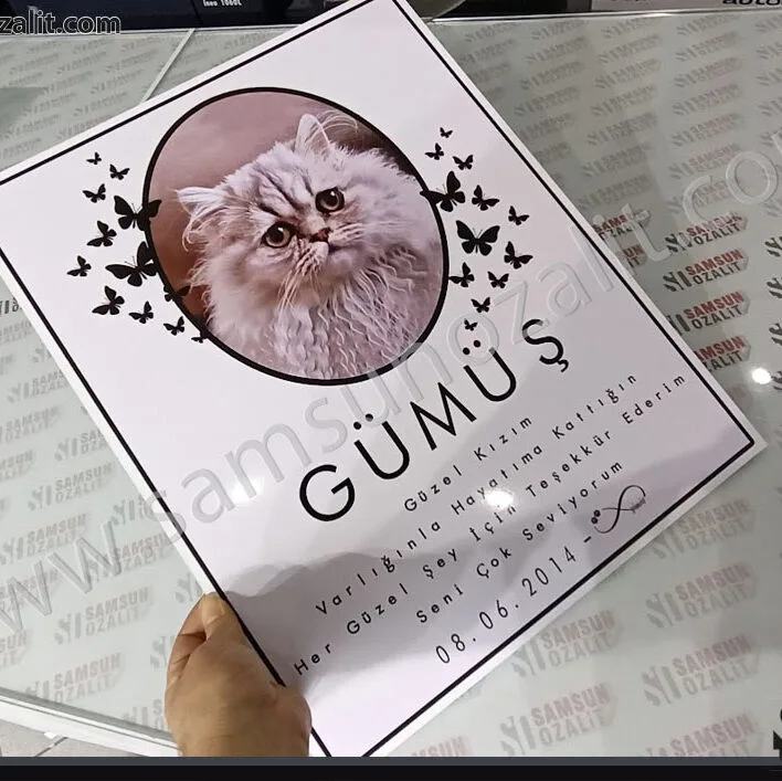 Samsun Baskı merkezi, evcil hayvan mezar taşı, evcil kedi ölümü için hazırlanmış mezar yazısı, kedi köpek için mezar başlığı, mezar taşı baskısı, özel tasarımlarınız yapılır, dış mekan dayanıklı plastik ürün, suya dayanıklı ürün, 5mm plastik